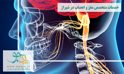 خدمات متخصص مغز و اعصاب در شیراز