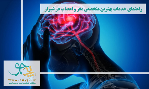 راهنمای خدمات بهترین متخصص مغز و اعصاب در شیراز