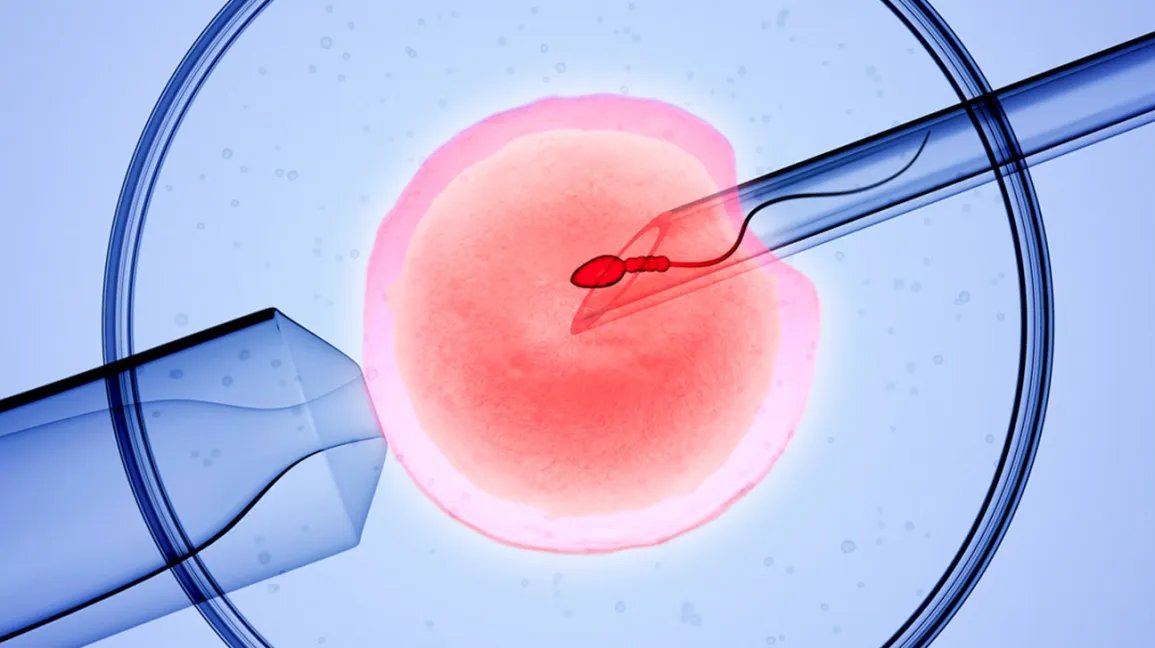 7 واقعیت مهم که باید بدانید اگر قصد IVF را دارید