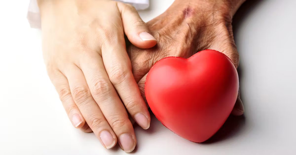 بیماری عروق کرونر قلب : آنچه باید بدانید