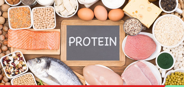 چه مقدار پروتئین نیاز دارم؟ 10 غذای پر پروتئین که به شما کمک می کند