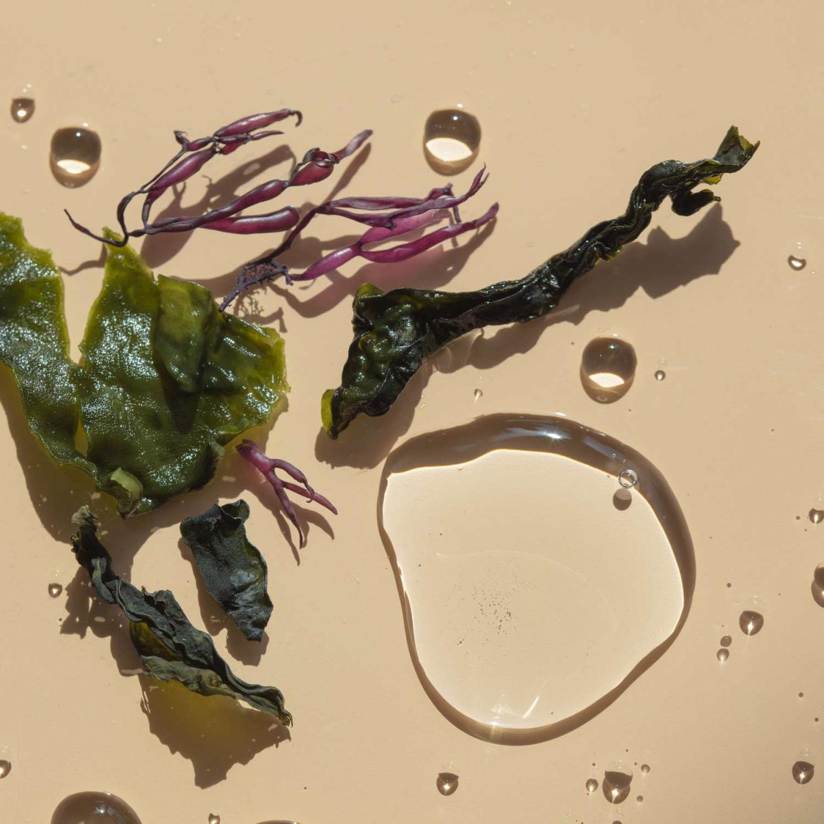 مراقبت از پوست با خواص درمانی: فواید جلبک دریایی برای ترمیم پوست