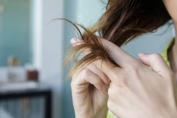نحوه تشخیص و درمان آسیب در موهای خشک