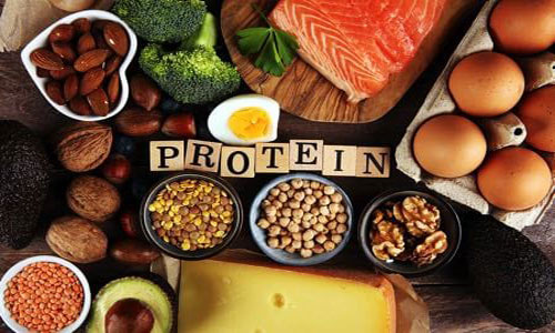  پروتئین حیوانی و پروتئین گیاهی