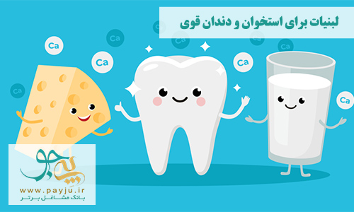 چرا کلسیم لبنیات برای استخوان و دندان قوی مهم است؟ جذب ویتامین D
