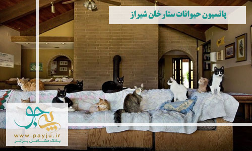 پانسیون حیوانات ستارخان شیراز