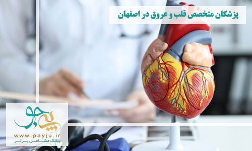 پزشکان متخصص قلب و عروق در اصفهان