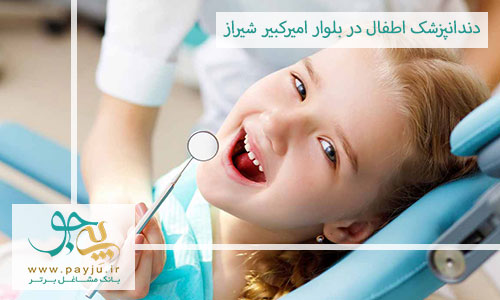 دندانپزشک اطفال در بلوار امیرکبیر شیراز