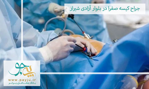 جراح کیسه صفرا در بلوار آزادی شیراز