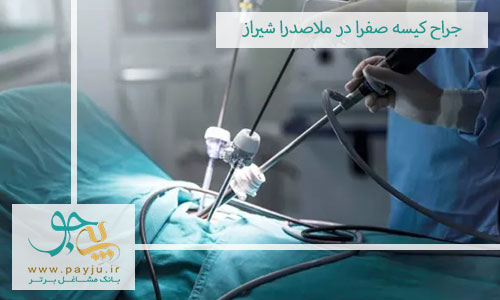 جراح کیسه صفرا در ملاصدرا شیراز