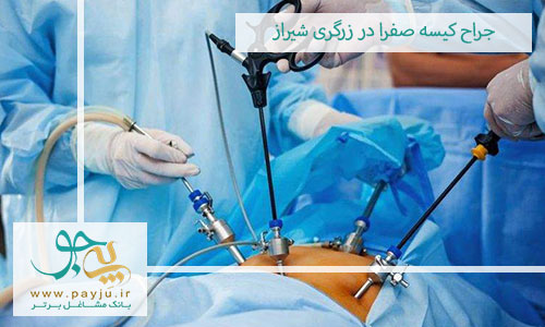 جراح کیسه صفرا در زرگری شیراز