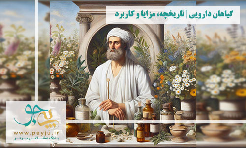 تاریخچه داروهای گیاهی در طب سنتی