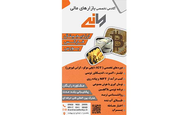 آکادمی تخصصی بازارهای مالی مانی