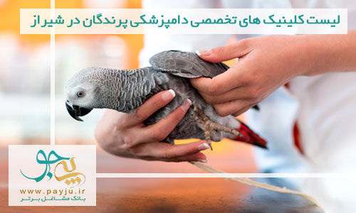 لیست کلینیک های دامپزشکی تخصصی پرندگان در شیراز